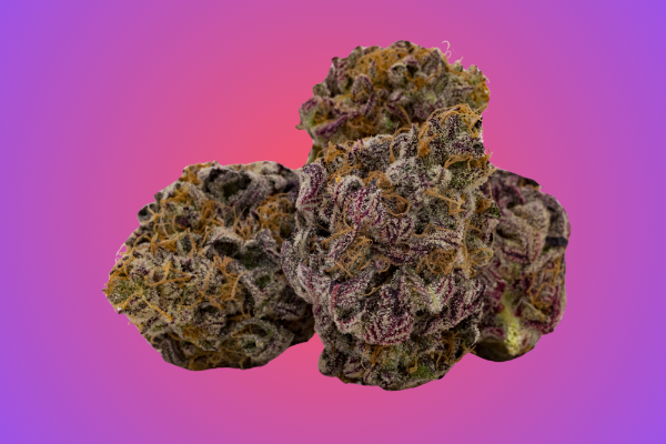 Grand-daddy-purple-king-kong-dispensary