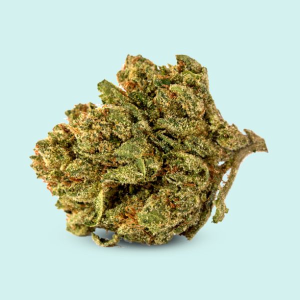 Indica Exotic Blue Cheese Cannabis