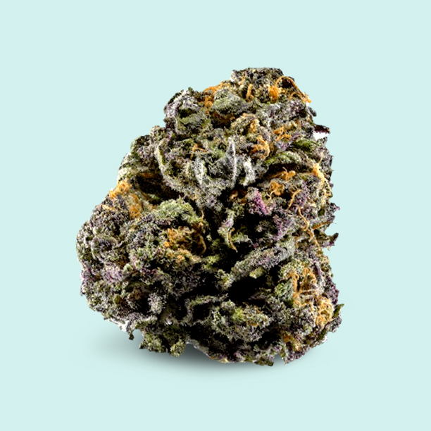 Granddaddy Purple (Indica) – Kingkongdispensary