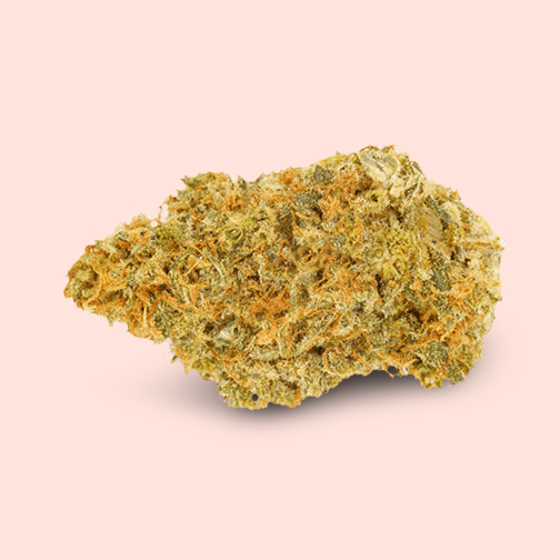 Acapulco Gold marijuana legale alto CBD-Canapa Montana