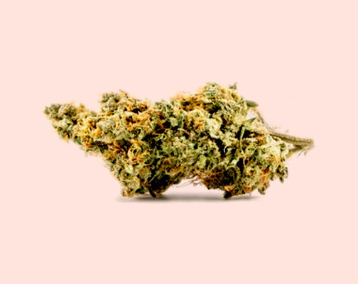 Future Haze sativa dominant flower available in Arlington VA and Washington DC