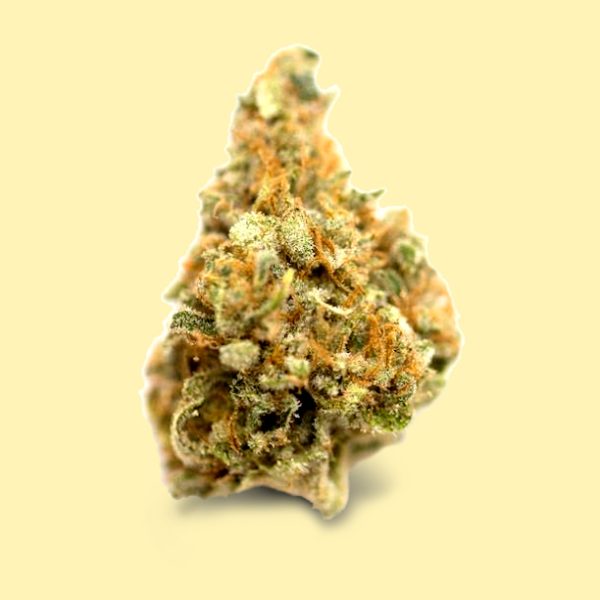 Hybrid Premiun Grape Pie Cannabis