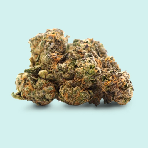 Indica Premium Jungle Apple Cannabis