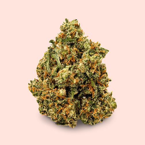 Sativa Premium Devil Fruit Cannabis