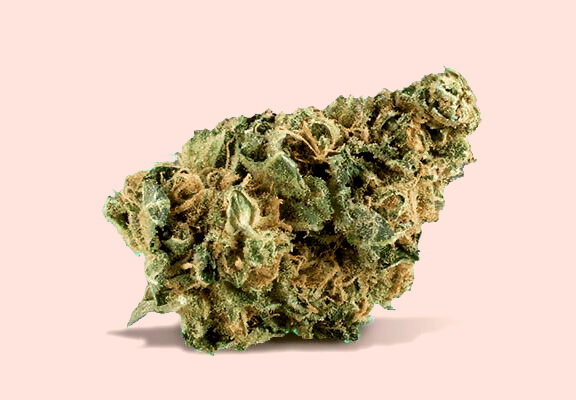 Sativa Premium Train Wreck Cannabis