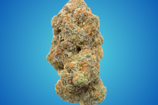 Jelly Cake hybrid cannabis flower premium buds Georgetown DC King Kong Dispensary