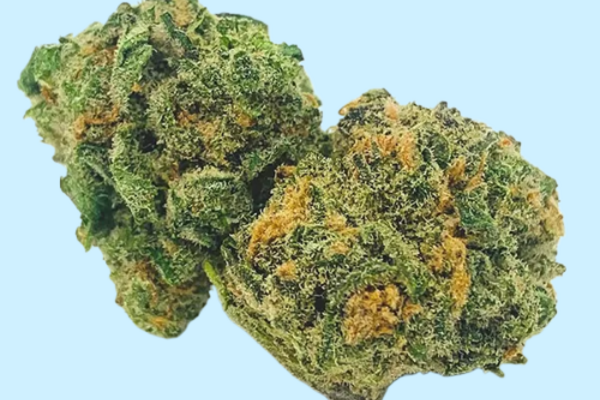 BlueDream-Kingkong-Dispensary