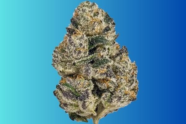 Obama-runtz-kingkong-dispensary-DC