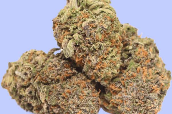 CherryRuntz.kingkong.dispensary