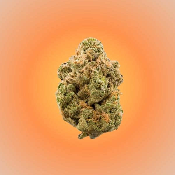 Hog OG (Indica)
