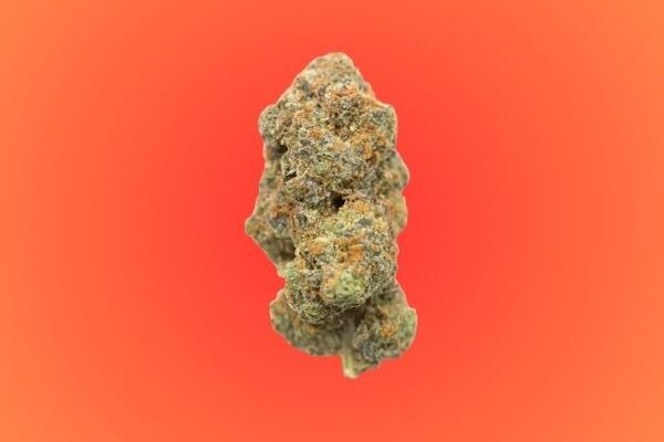 Motorhead-Og-kingkong-dispensary