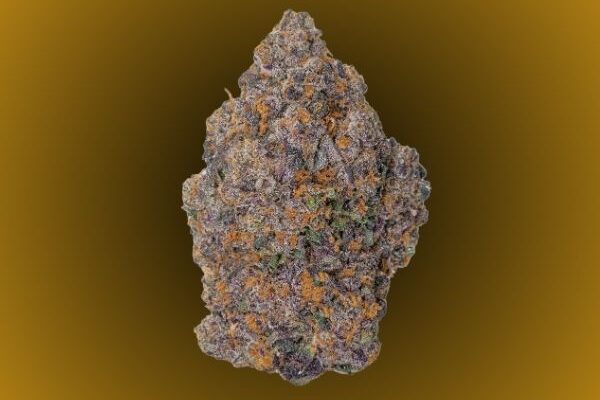 Orange-Cookie-Dough-kingkong-dispensary