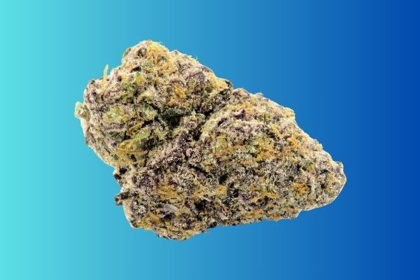 blue-nerd-kingkong-dispensary