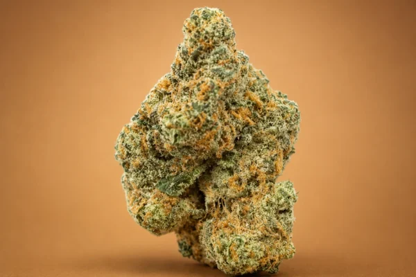 Reeseez Pieces flower – Indica Hybrid cannabis bud with orange pistils and dense trichomes