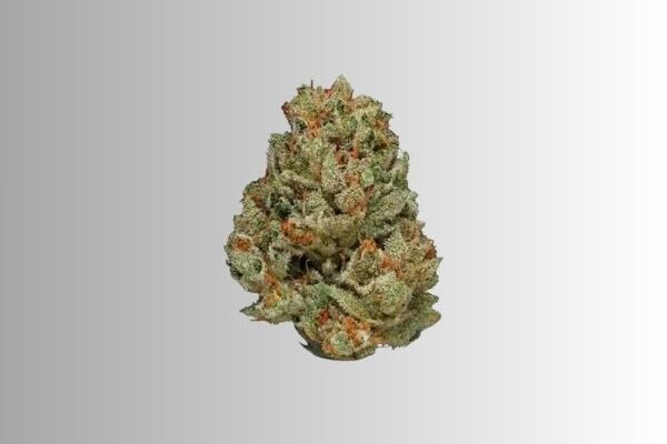 cali-fire-kingkong-dispensary