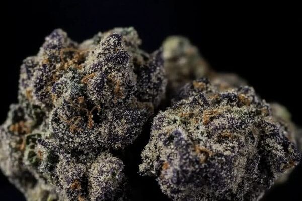 prz-kingkong-dispensary