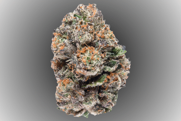 Gushers-kingkong-dispensary
