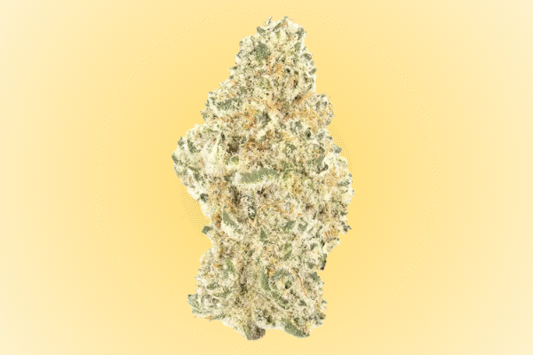 jungle-pie-kingkong-dispensary
