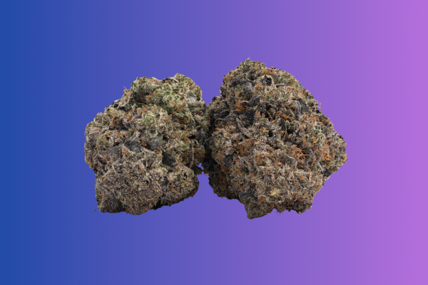 purple-gas-kingkong-dispensary