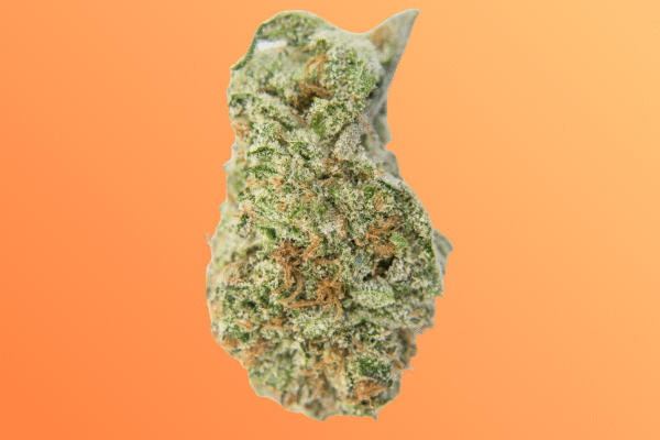 rainbow-runtz-kingkong-dispensary