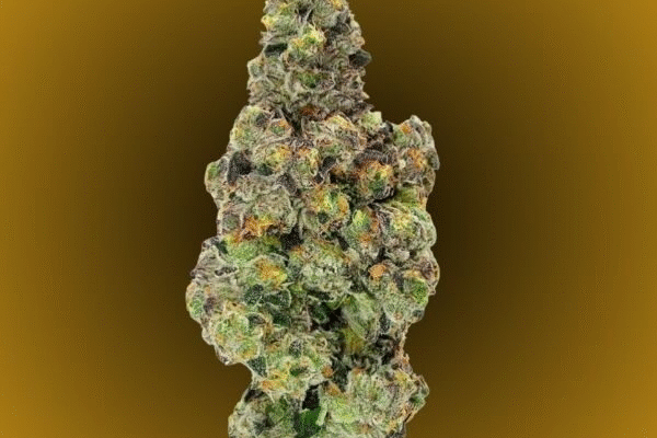 red-candy-kingkong-dispensary