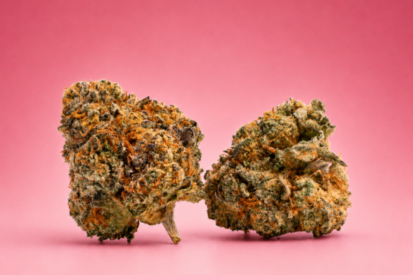 Red Velvet Indica Hybrid Flower - King Kong Dispensary Georgetown DC