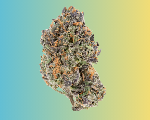 space-runtz-kingkong-dispensary
