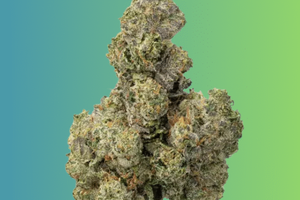 Invisible-Runtz-kingkong-dispensary