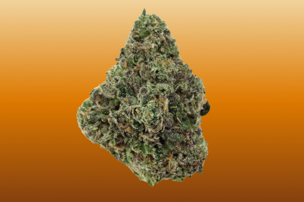 Sunset-Sherbet-kingkong-dispensary