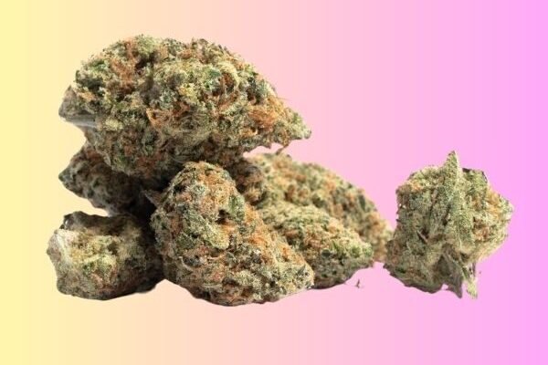gary-payton-kingkong-dispensary