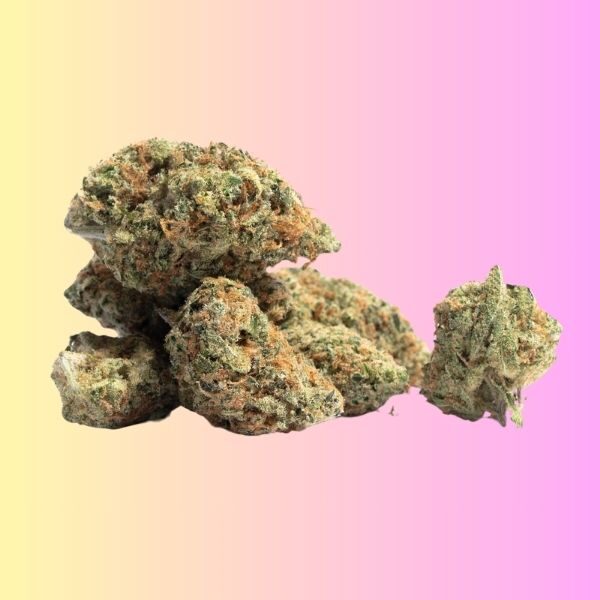 Gary Payton (Indica)