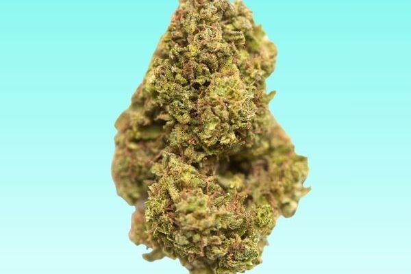 gelonade-kingkong-dispensary