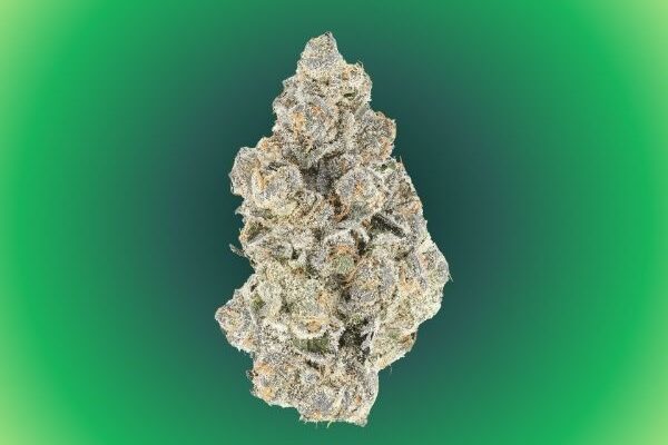 animal-tsunami-kingkong-dispensary