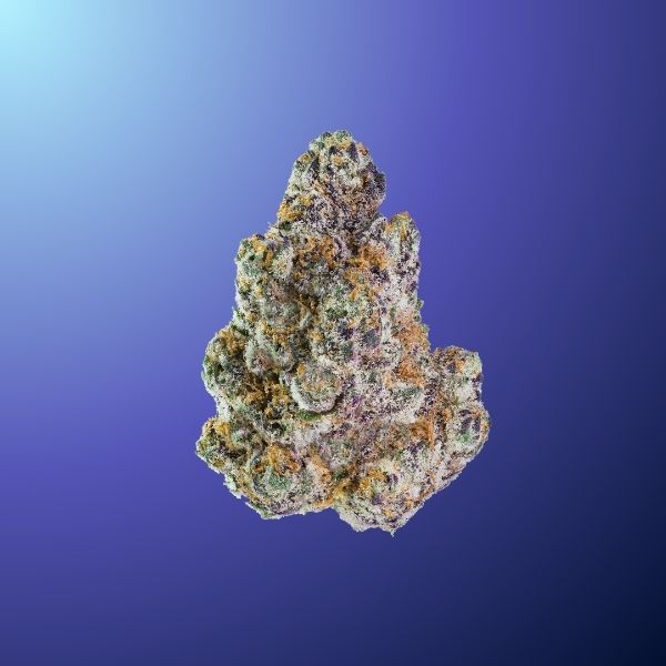 Blue Andeze (Hybrid)