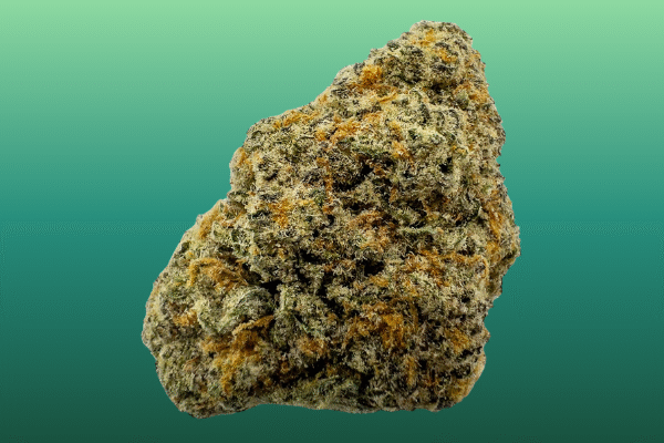 grape-bubble-gum-kingkong-dispensary