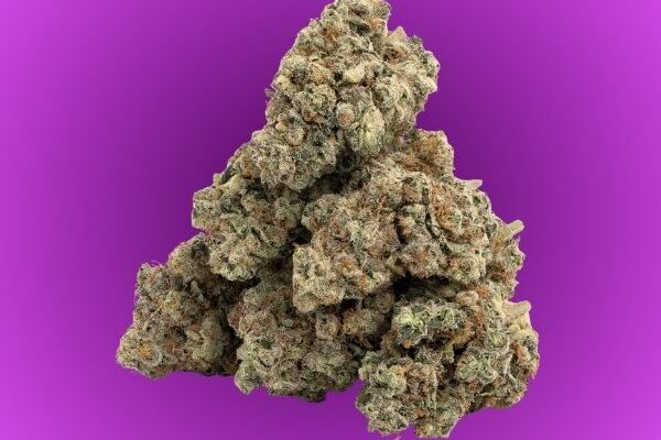grape-junky-king-kong-dispensary