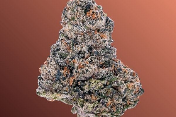 mendo-breath-king-kong-dispensary.jpg