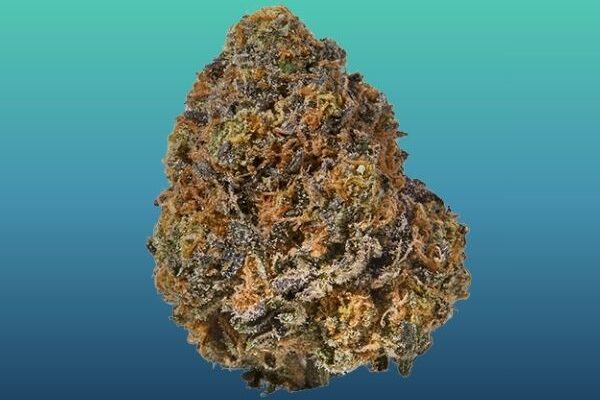 rs11-kingkong-dispensary