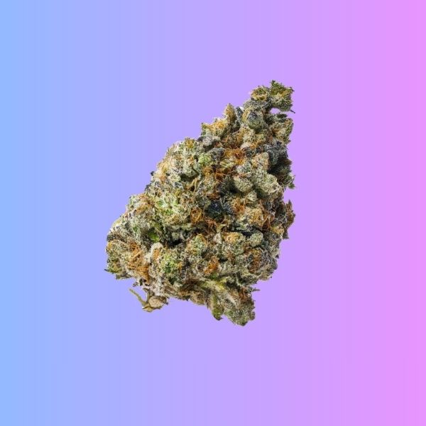 Soap (Sativa)