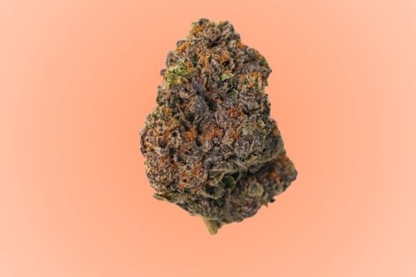 Gelato-passion-king-kong-dispensary