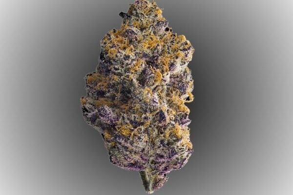 LCG-king-kong-dispensary-dispensary