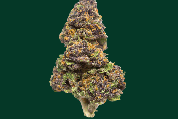 purple-slime-king-kong-dispensary-washington-DC