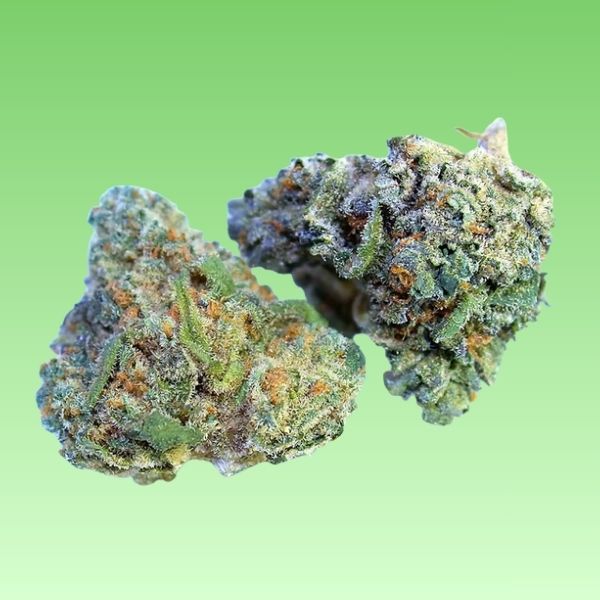 Baklava Gelato (Indica/Hybrid)