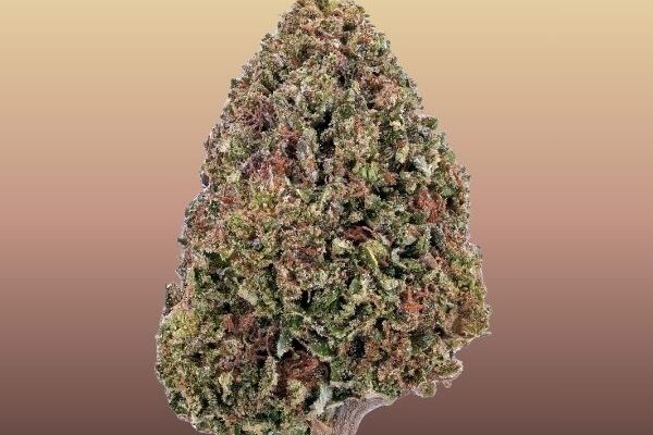 bubba-kush-indica-kingkong-dispensary