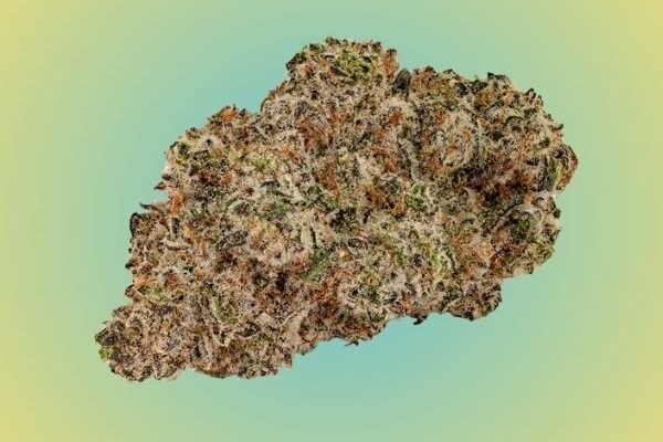 high-society-kingkong-dispensary