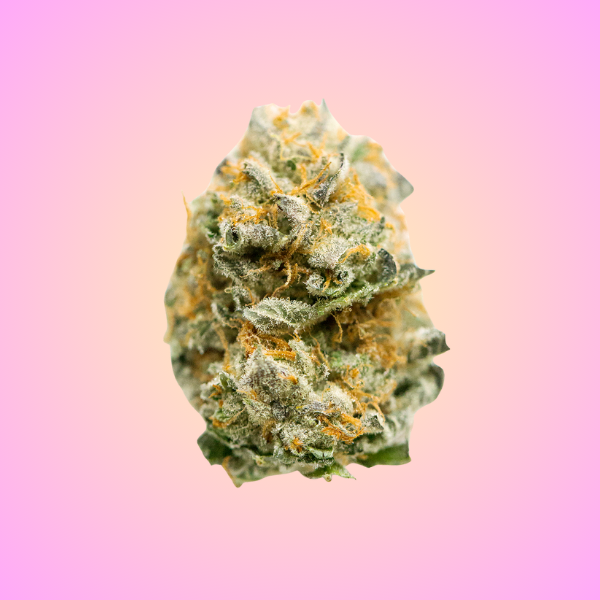 Jet Fuel Gelato (Hybrid)