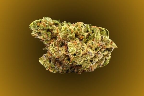 truffles-kingkong-dispensary-DC