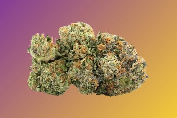 Critical-Kush-kingkong-dispensary-DC