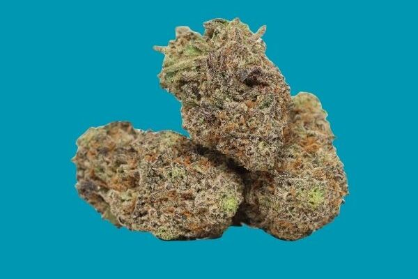 Divorce-Diesel-Kingkong-dispensary-DC