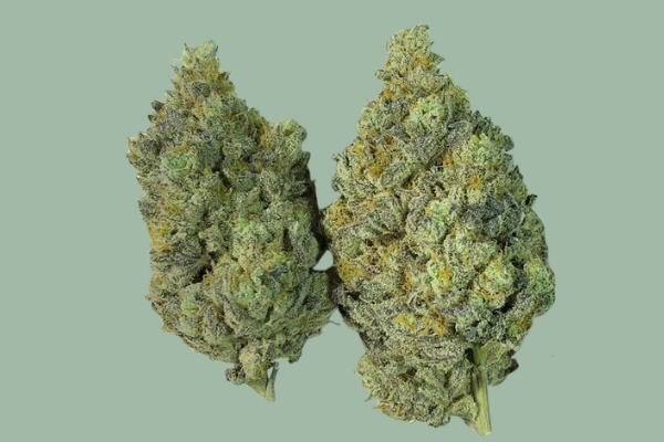 Blueberry indica dominant cannabis flower available in Arlington VA and Washington DC
